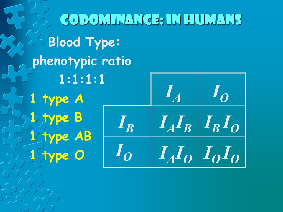 Codominance Explained with Examples